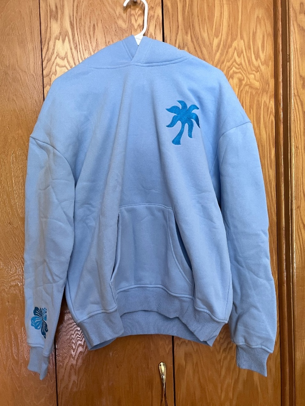 Brand new PPP Everything comes in waves blue hoodie, size small.
